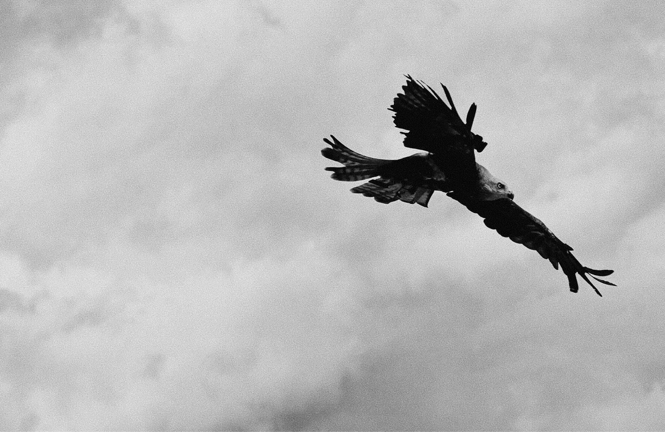 Abflug Hero